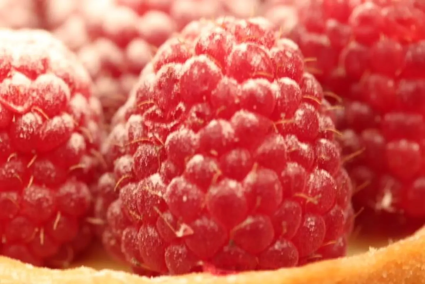 Framboisier réalisé par Nicolas le Pâtissier